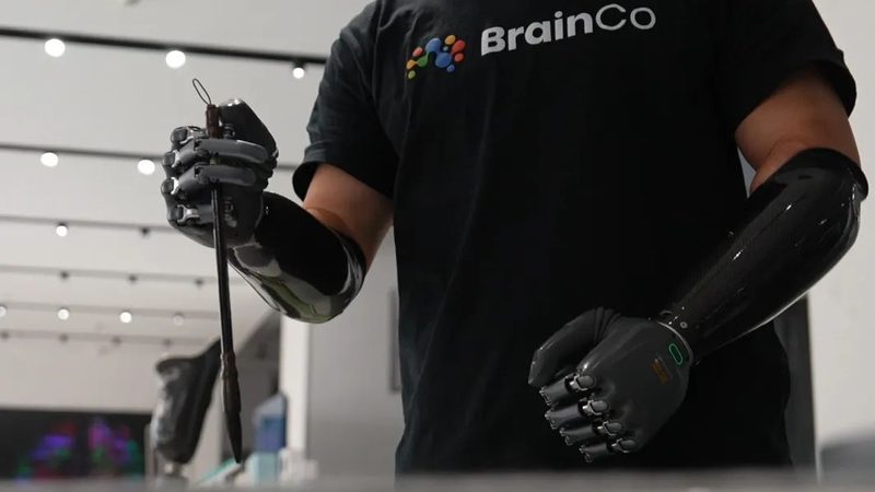高新技术企业与专精特新：广东企业成长路径的两大关键